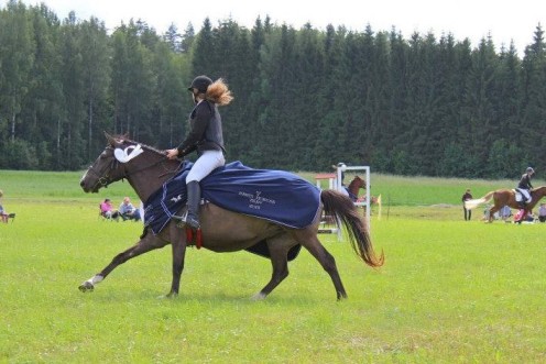 Arita Eesti hobuse päev